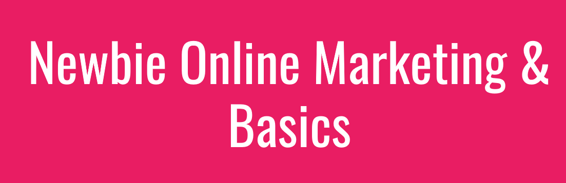 SAC-100: Newbies! Online Marketing & Basics
